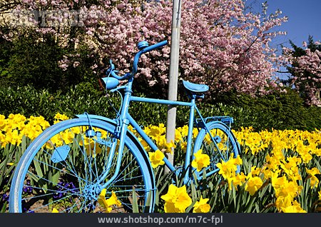 
                Fahrrad, Frühling, Narzisse, Blumenbeet                   