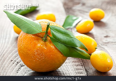 
                Südfrucht, Mandarine, Kumquat                   