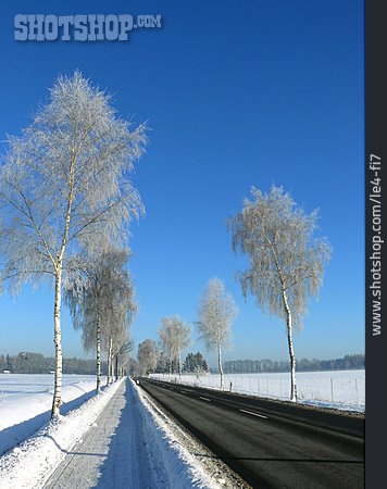 
                Winter, Landstraße                   