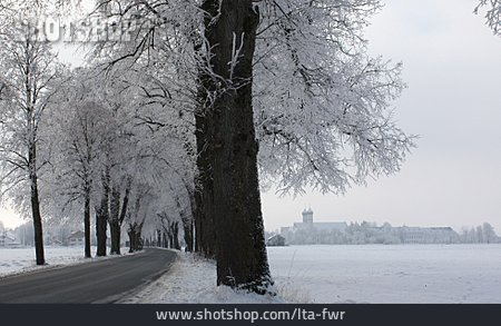 
                Winterlandschaft, Allee, Landstraße, Benediktbeuern                   