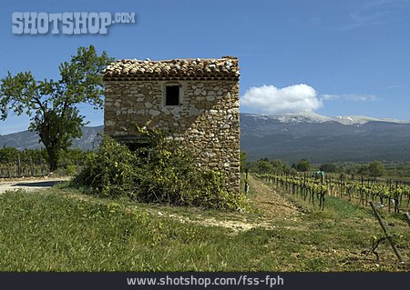 
                Hütte, Weinberg, Provence                   