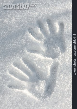 
                Snow Track, Hand Print                   