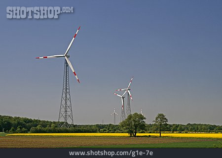 
                Energie, Rapsfeld, Windrad                   
