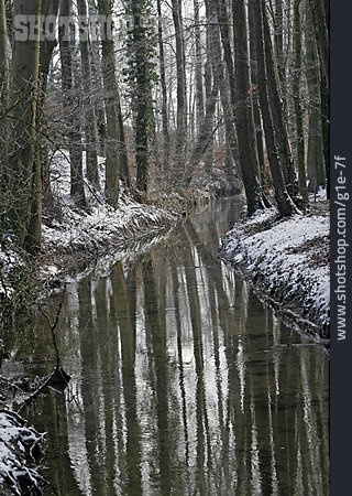 
                Bach, Wald, Winterlandschaft                   