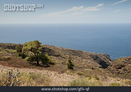 
                Landschaft, Küste, La Palma                   