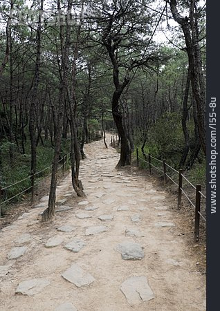 
                Weg, Pfad, Gyeongju National Park                   