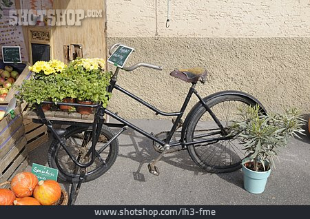 
                Fahrrad, Markt, Angebot                   
