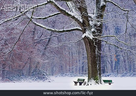 
                Park, Verschneit                   