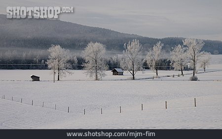 
                Winterlandschaft, Schneebedeckt, Schneelandschaft                   