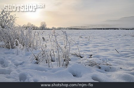 
                Sonnenaufgang, Winterlandschaft, Schneedecke                   