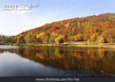 
                See, Herbst, Pfälzerwald                   