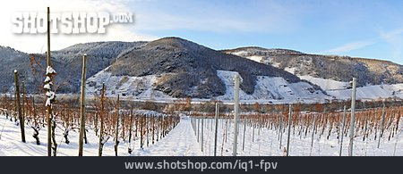 
                Winterlandschaft, Weinberg, Weinanbau                   