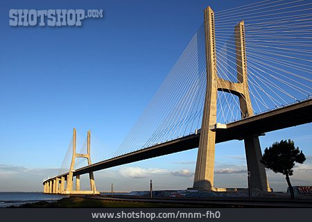 
                Schrägseilbrücke, Ponte Vasco Da Gama                   