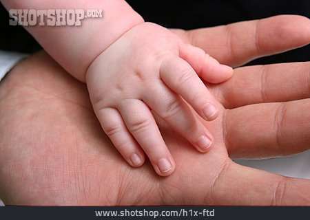 
                Hand, Babyhand                   