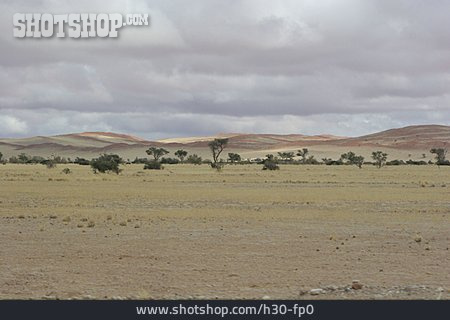 
                Desert, Namibia, Namib Desert                   