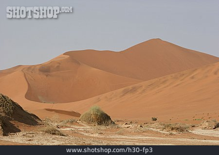 
                Wüste, Namibwüste                   