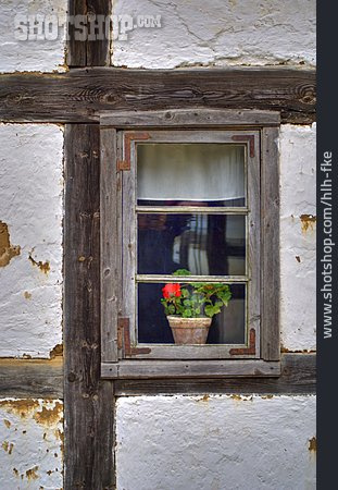 
                Sprossenfenster, Blumentopf, Bauernhaus                   