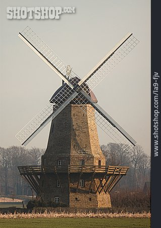 
                Windmühle, Neuenkirchen                   