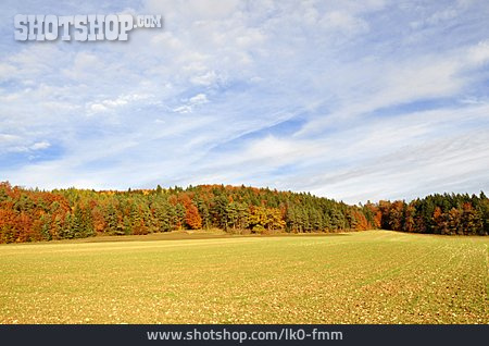 
                Landschaft, Feld, Herbstwald                   