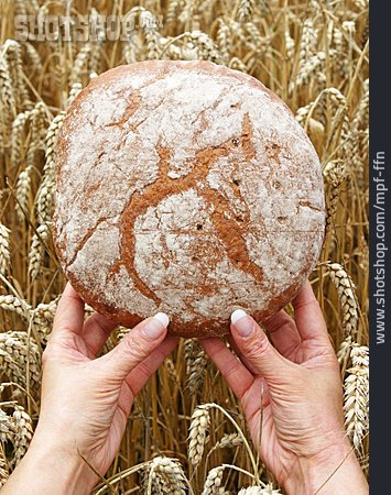 
                Landwirtschaft, Brot, Brotlaib, Grundnahrungsmittel                   