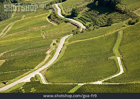 
                Landwirtschaft, Weinanbaugebiet, Baume-les-messieurs                   