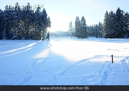 
                Winterlandschaft, Tannen, Schnee                   