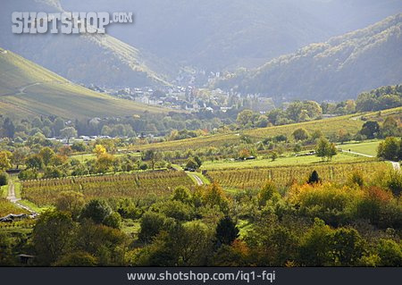
                Landschaft, Weinanbaugebiet, Moseltal                   