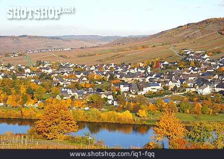 
                Moseltal, Mosel, Wintrich                   