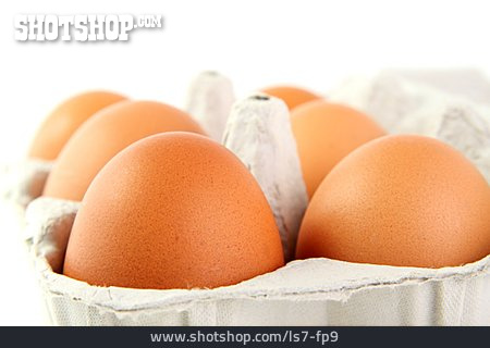 
                Hühnerei, Eierkarton                   
