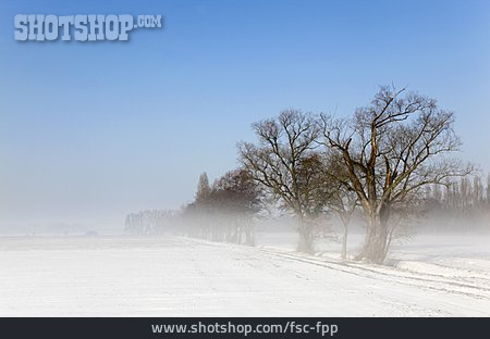 
                Nebel, Bodennebel                   