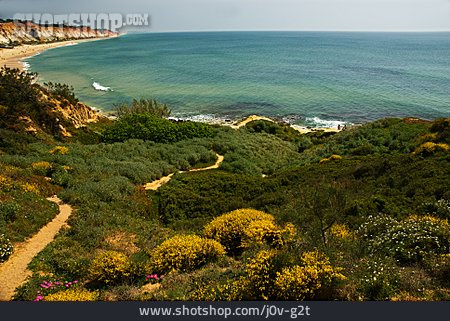 
                Küste, Vegetation, Algarve                   