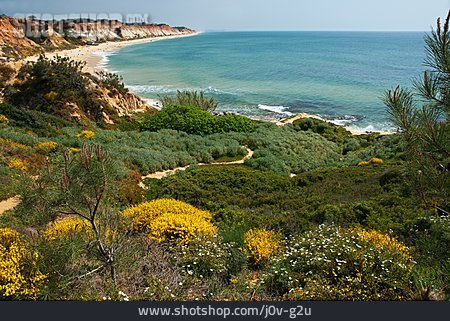 
                Küste, Vegetation, Algarve                   
