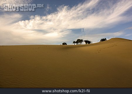 
                Sandy Desert, Dune, Grand Canary                   