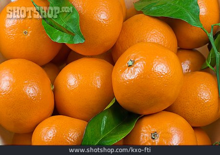 
                Südfrucht, Mandarine                   