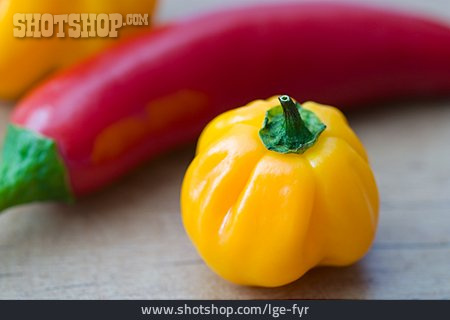 
                Paprika, Paprikasorte                   