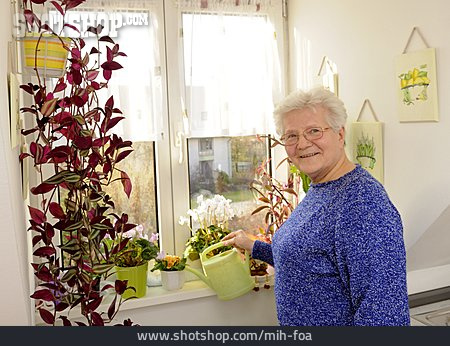 
                Seniorin, Gießen, Blumenpflege                   