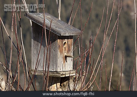 
                Bird House, Feeding Place                   