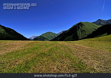 
                Tirol, Berglandschaft, Alm                   