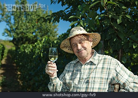 
                Senior, Vintner, Winetasting                   