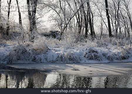 
                Verschneit, Frost, Flussufer                   