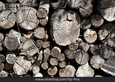 
                Holzscheit, Brennholz, Feuerholz                   
