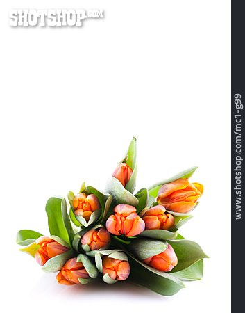 
                Tulpe, Blumenstrauß, Tulpenstrauß, Frühlingsstrauß                   