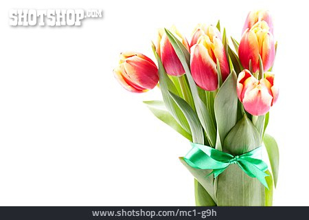 
                Blumenstrauß, Tulpenstrauß, Blumengeschenk                   