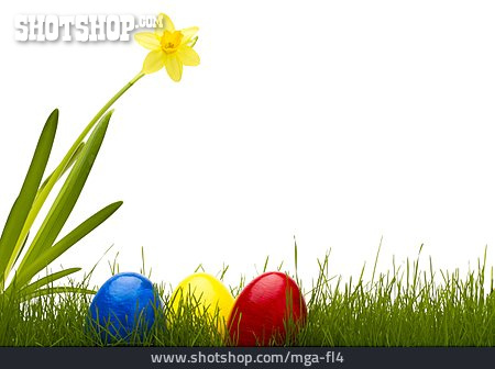 
                Ostern, Osterei, Narzisse                   
