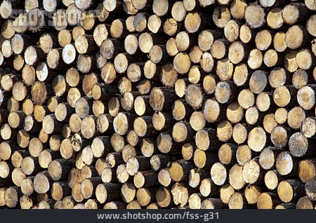 
                Holzstapel, Forstwirtschaft, Holzindustrie                   
