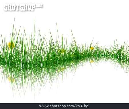
                Gras, Rasen, Frühling                   