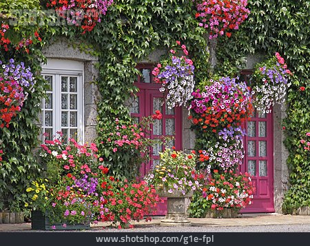 
                Blumenschmuck, Blumendekoration, Fassadenbegrünung                   