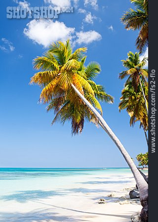 
                Tropisch, Karibik, Palmenstrand                   