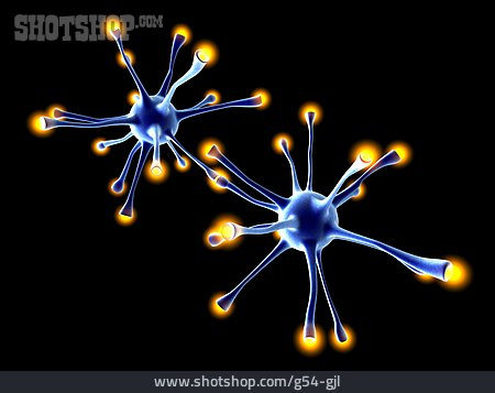 
                Zelle, Nervenzelle, Synapse                   