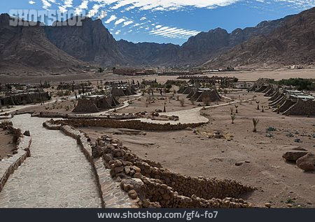 
                Sinai                   
